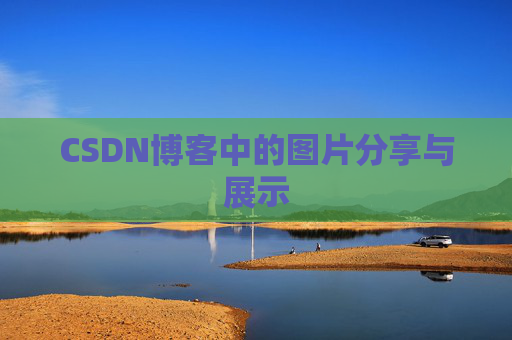 CSDN博客中的图片分享与展示
